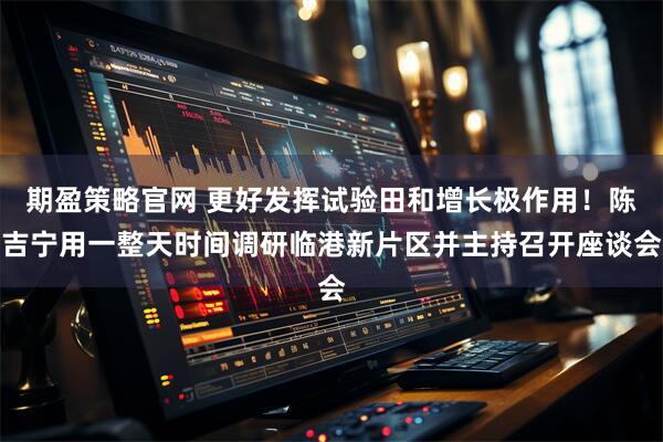 期盈策略官网 更好发挥试验田和增长极作用！陈吉宁用一整天时间调研临港新片区并主持召开座谈会