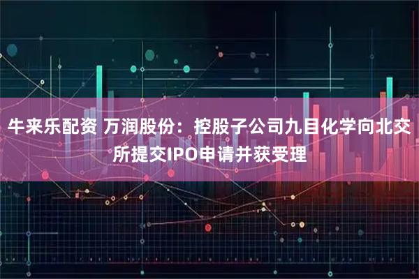 牛来乐配资 万润股份：控股子公司九目化学向北交所提交IPO申请并获受理