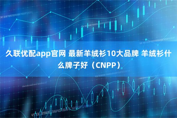 久联优配app官网 最新羊绒衫10大品牌 羊绒衫什么牌子好(CNPP)