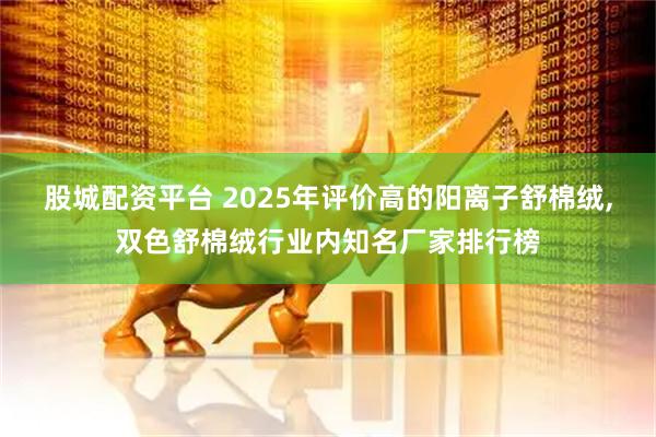 股城配资平台 2025年评价高的阳离子舒棉绒,双色舒棉绒行业内知名厂家排行榜