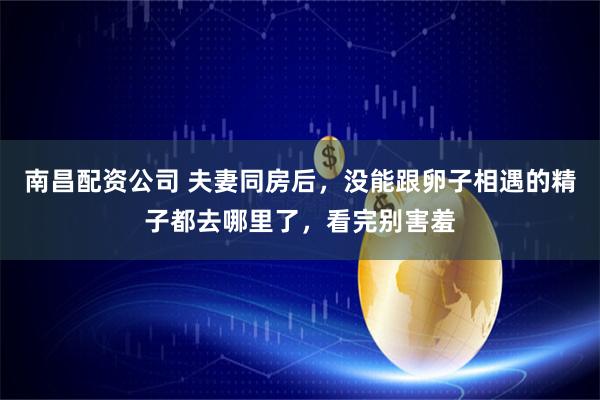 南昌配资公司 夫妻同房后，没能跟卵子相遇的精子都去哪里了，看完别害羞
