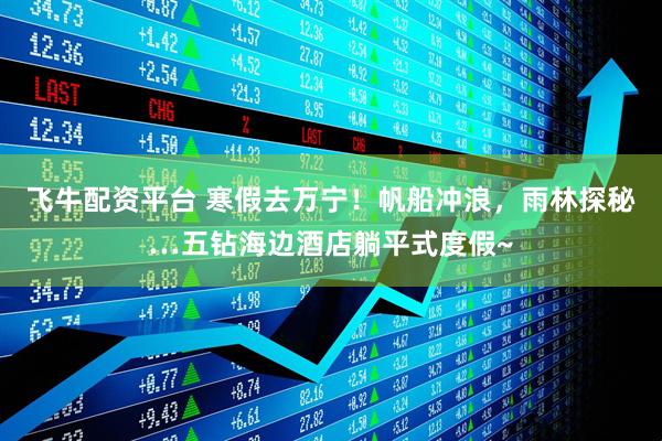 飞牛配资平台 寒假去万宁！帆船冲浪，雨林探秘…五钻海边酒店躺平式度假~