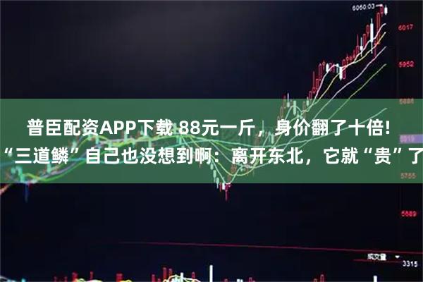 普臣配资APP下载 88元一斤，身价翻了十倍! “三道鳞”自己也没想到啊：离开东北，它就“贵”了